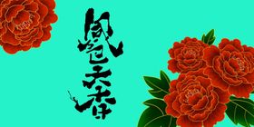 高清牡丹花 