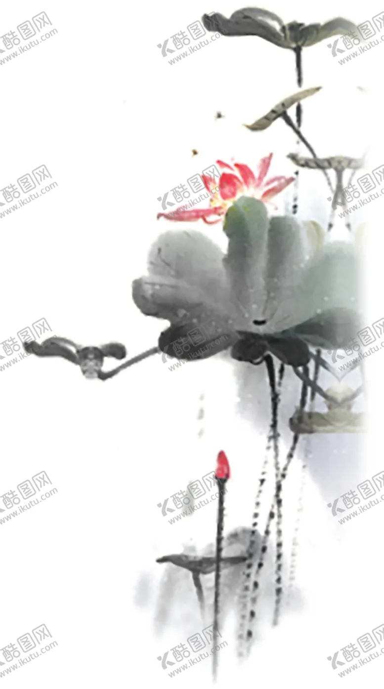 编号：75195604280338513616【酷图网】源文件下载-水墨荷花粉色荷花荷花意境