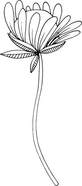 秘密花园儿童元素线稿