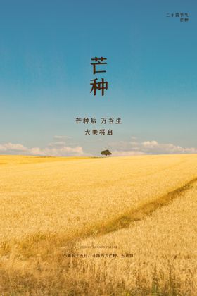 芒种海报