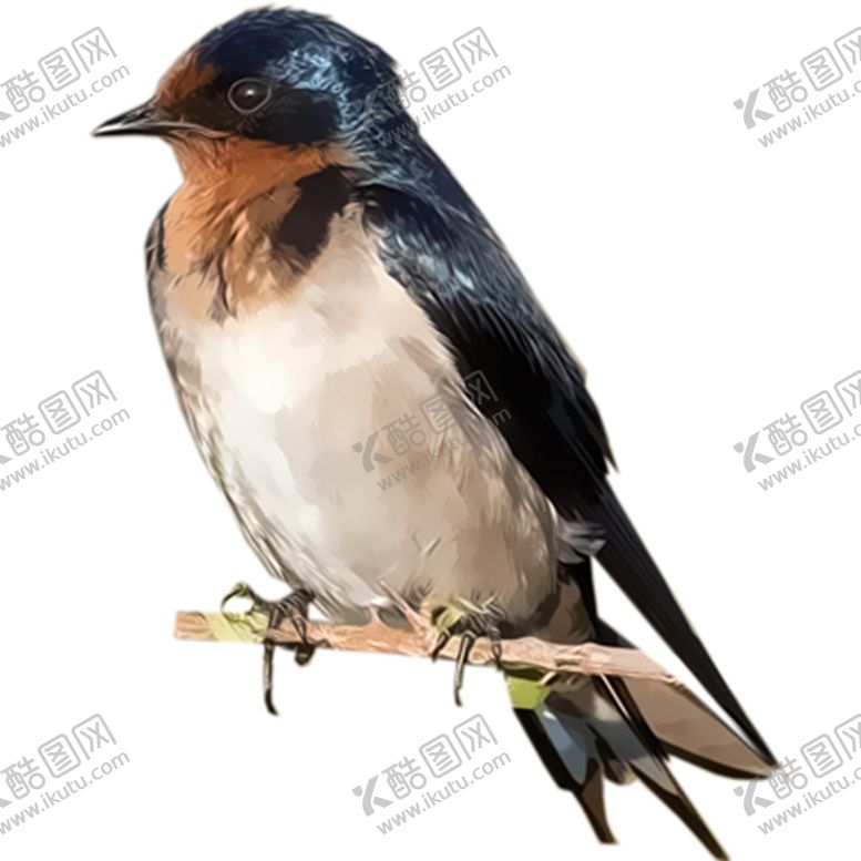 编号：51648806241658244828【酷图网】源文件下载-燕子