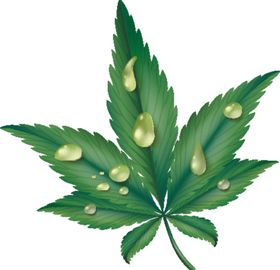 水滴