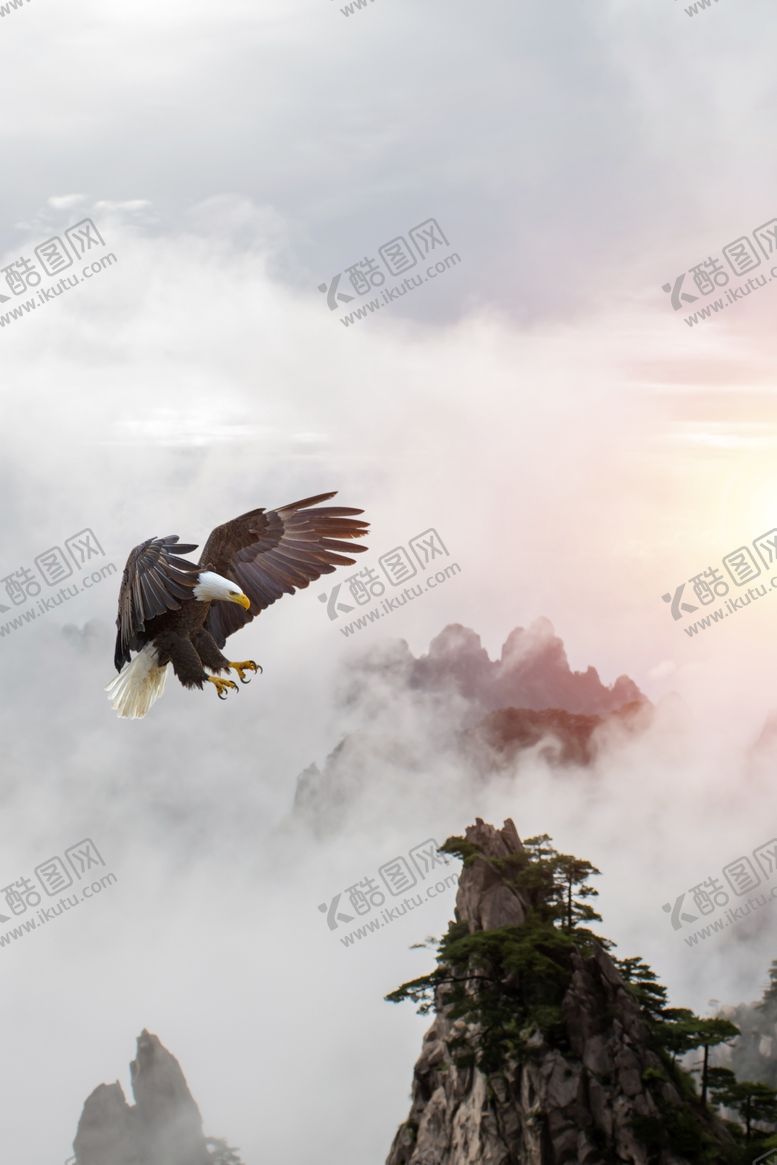 编号：85537710220432239861【酷图网】源文件下载-企业文化展板