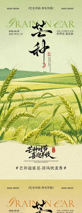 芒种节气小麦稻田中式插画海报