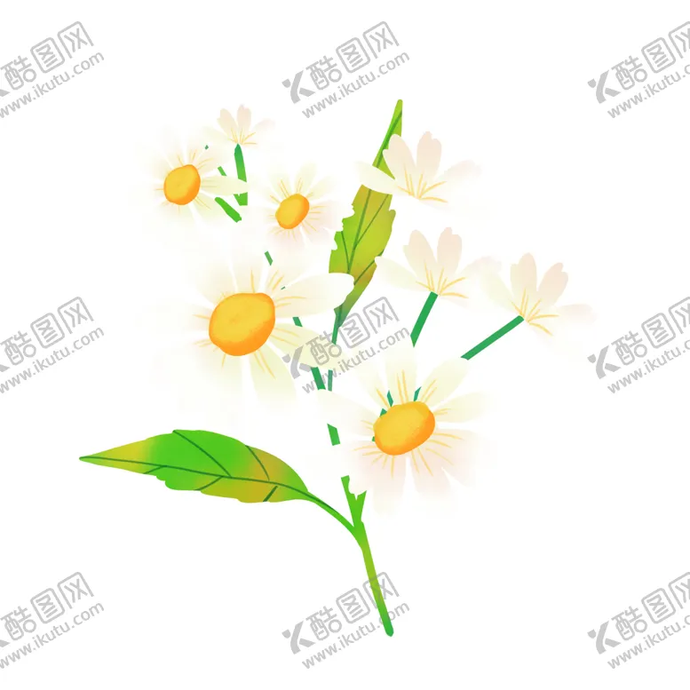 编号：51812402050838512582【酷图网】源文件下载-春天春季植物雏菊花朵小花