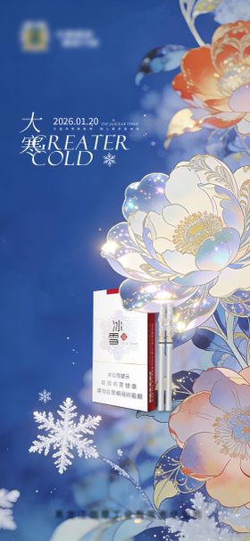 大寒二十四节气海报