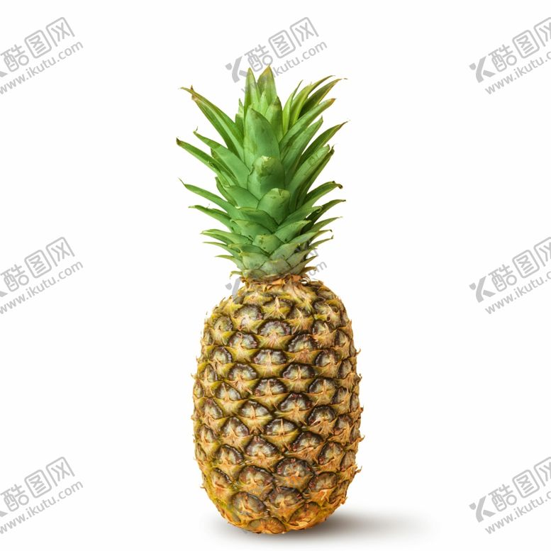 编号：79421509202230399531【酷图网】源文件下载-凤梨