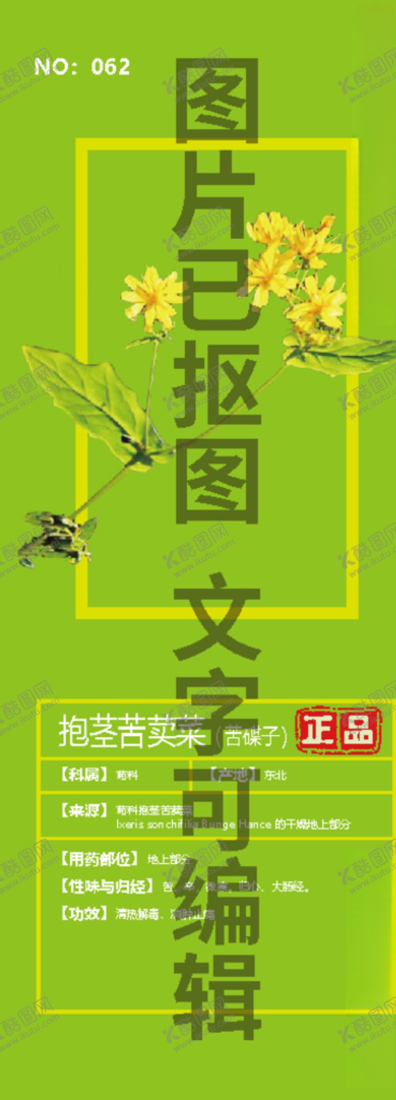 编号：25698609210057106309【酷图网】源文件下载-抱茎苦荬菜苦碟子