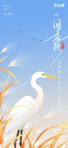 白露插画海报