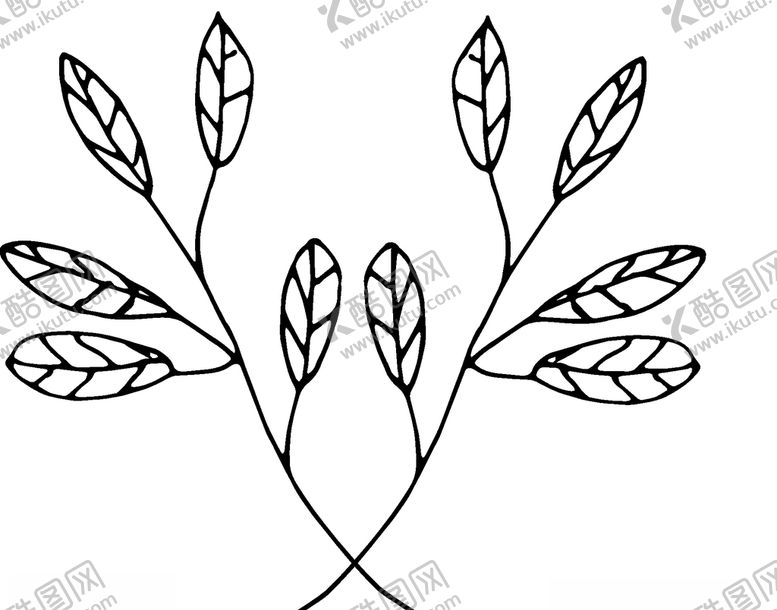编号：73170210050959196839【酷图网】源文件下载-黑白简约线条植物绘画