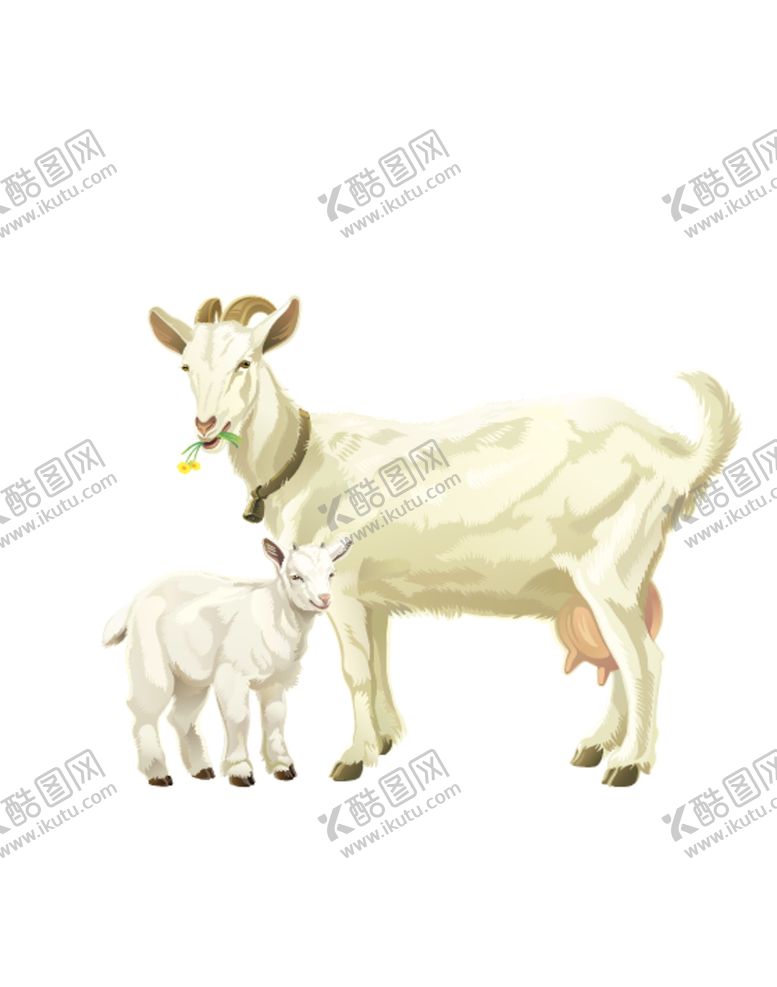 编号：10856209201914586451【酷图网】源文件下载-山羊矢量插画