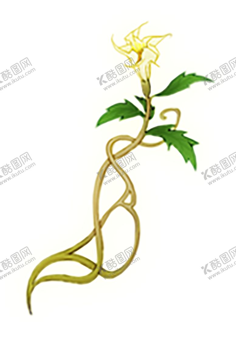 编号：21463209252236247228【酷图网】源文件下载-绿色装饰