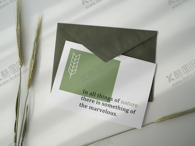 编号：21313009162258479381【酷图网】源文件下载-明信片样机