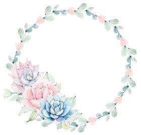 花边素材