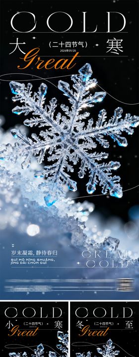 冬至大寒小寒节气系列海报