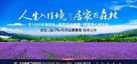 紫色花海房地产海报