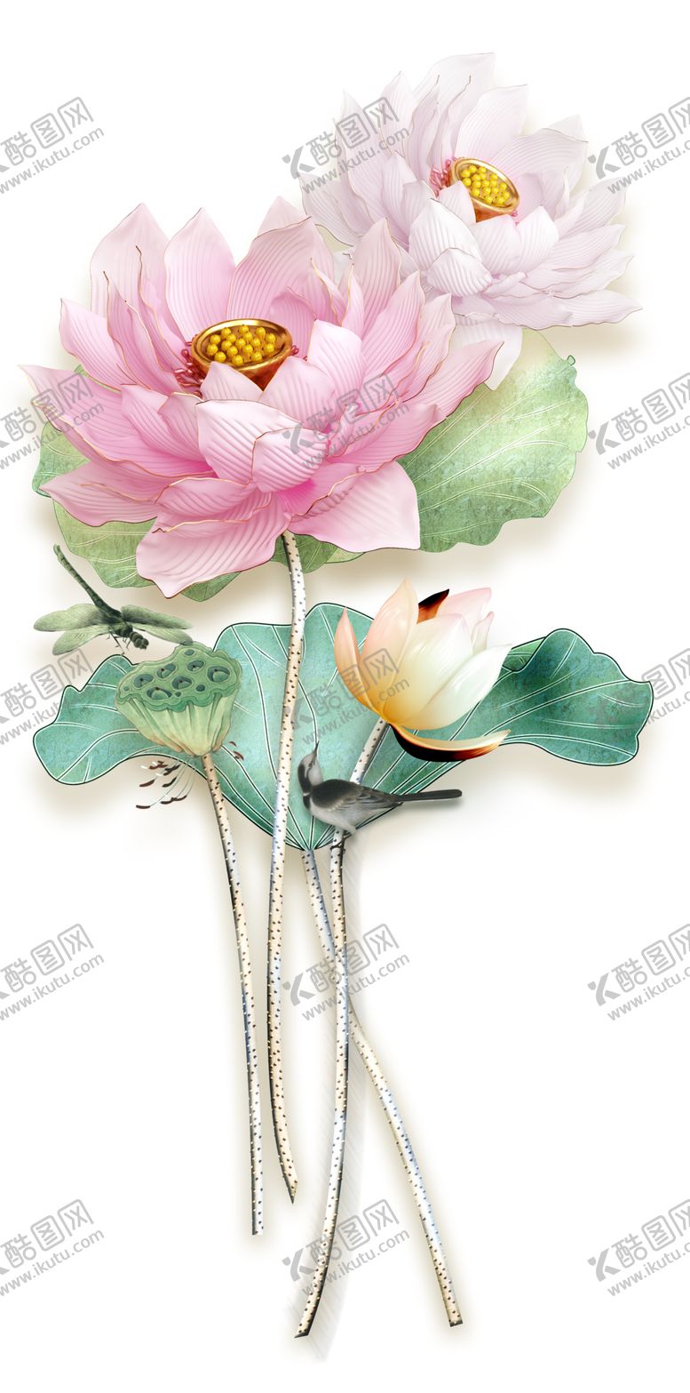 编号：90311710051440391963【酷图网】源文件下载-荷花