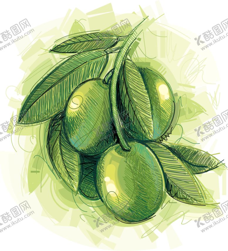 编号：15651510020718035526【酷图网】源文件下载-手绘生姜