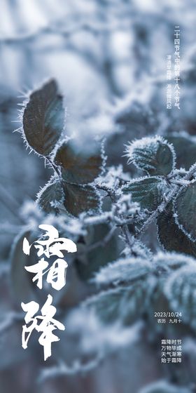 24节气霜降海报背景图片  