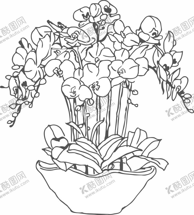 编号：67667401251834519040【酷图网】源文件下载-兰花 工笔画 黑白线稿