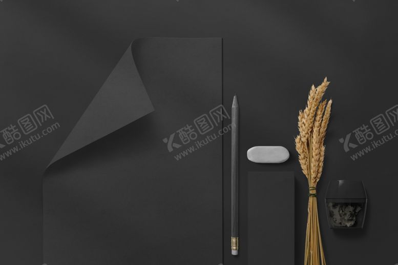 编号：99447310291509093025【酷图网】源文件下载-办公场景样机