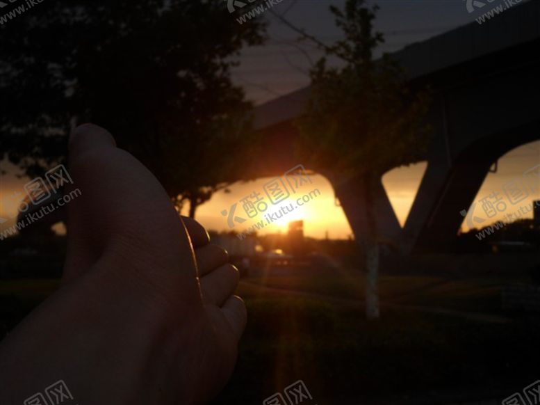 编号：96336303201751083216【酷图网】源文件下载-夕阳