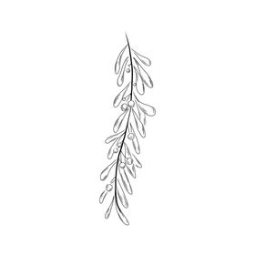 手绘植物叶片