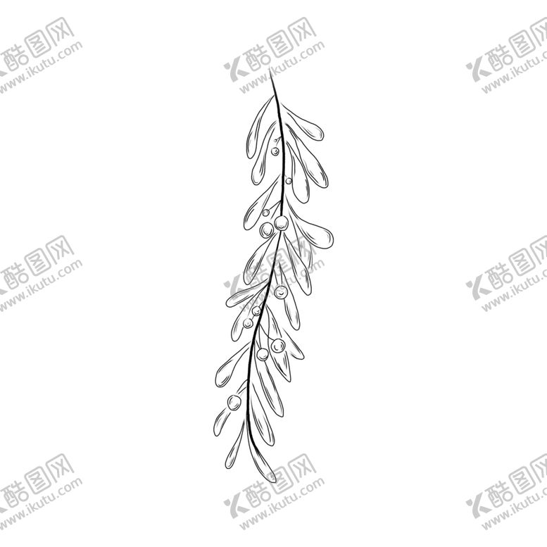 编号：54878909171414027841【酷图网】源文件下载-手绘植物叶片