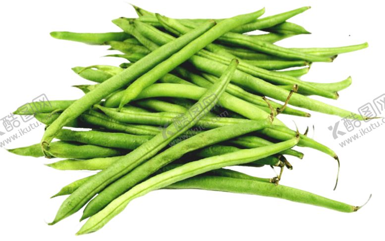 编号：84968809261142395028【酷图网】源文件下载-芸豆