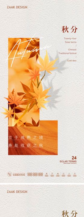 秋分节气系列海报