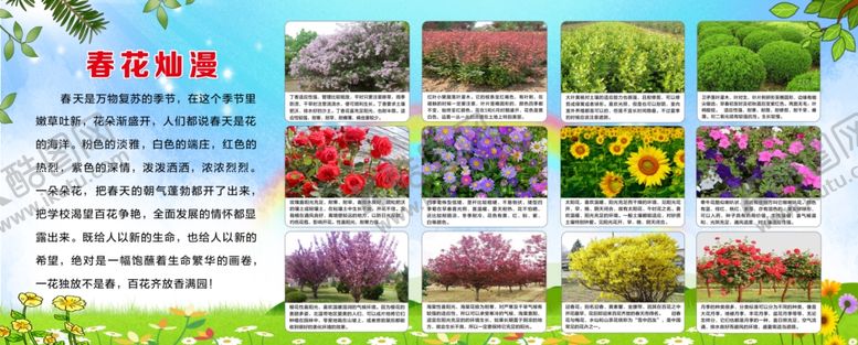 编号：71094206181439292874【酷图网】源文件下载-校园展板花草简介