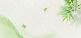 谷雨节气浅绿色简约背景