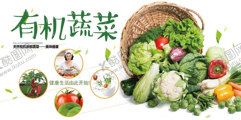 编号：87737207022120193323【酷图网】源文件下载-有机蔬菜