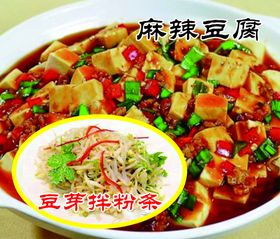 豆芽拌粉条麻辣豆腐广告