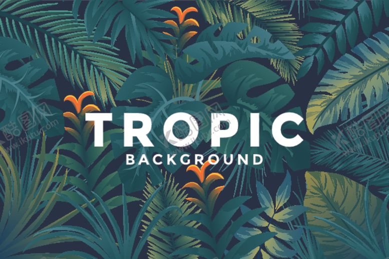 编号：91020009210948245432【酷图网】源文件下载-热带夏季背景广告