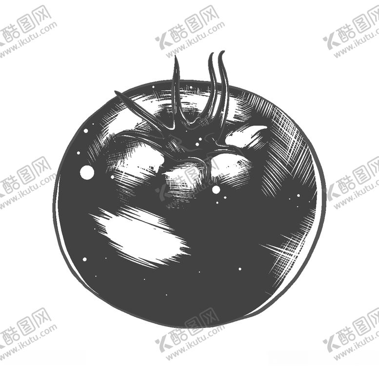 编号：67463009291948125199【酷图网】源文件下载-手绘蔬菜插画