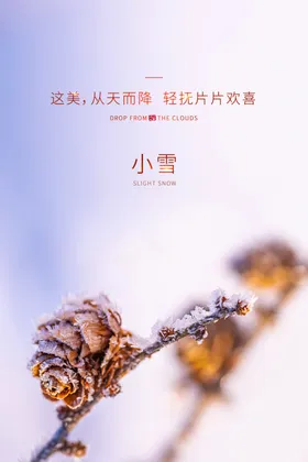 小雪海报24节气冬季素材