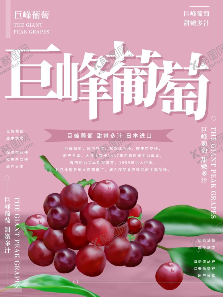 编号：41766807031458061328【酷图网】源文件下载-葡萄