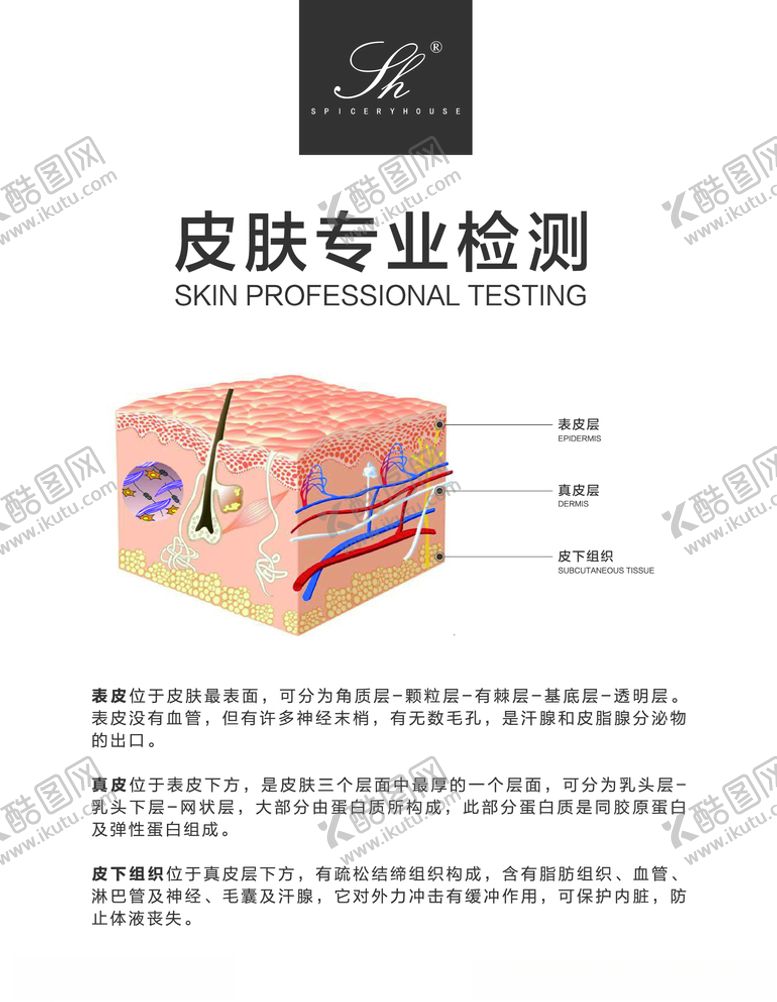 编号：28584809142146068273【酷图网】源文件下载-皮肤