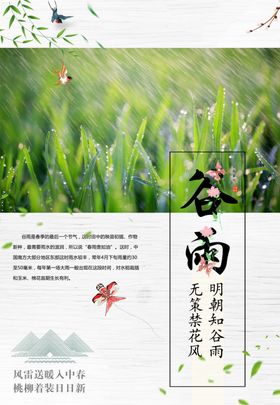 谷雨