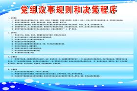 党组议事规则和决策程序