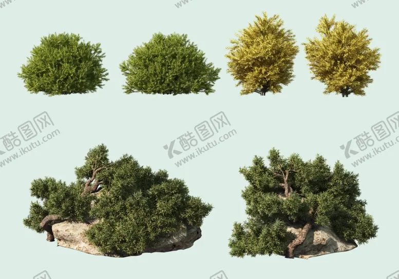园林景观树木花草绿植设计素材