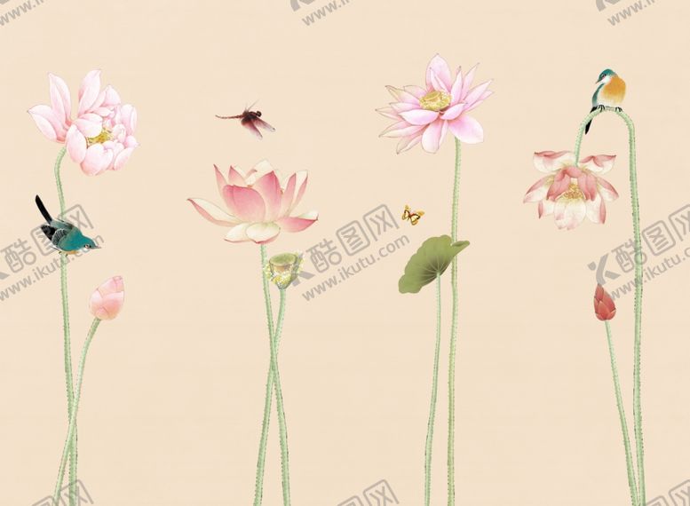 编号：47882709211717038247【酷图网】源文件下载-荷花