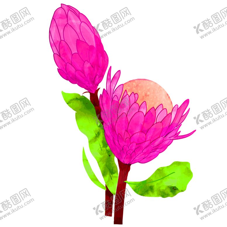 编号：61478505150048344982【酷图网】源文件下载-花素材