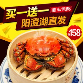 阳澄湖大闸蟹主图