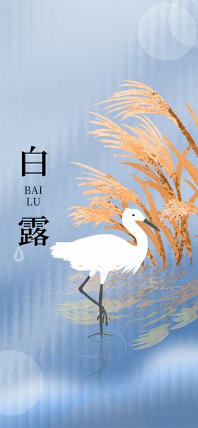 白露海报24节气设计广告