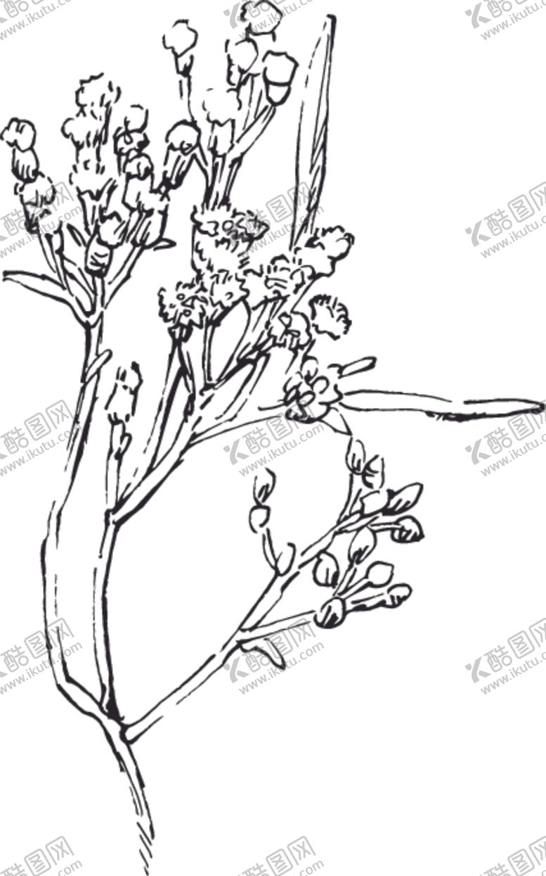 编号：14222107132256472174【酷图网】源文件下载-素描鲜花