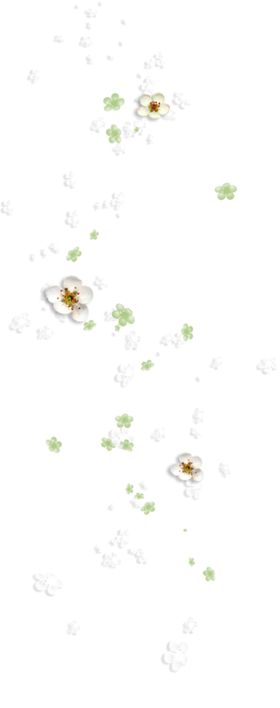 花漂浮