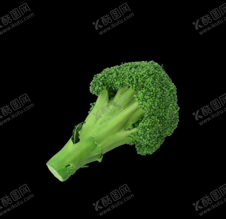 编号：21174310020246524883【酷图网】源文件下载-西蓝花免扣