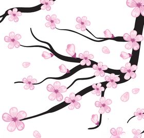 樱花
